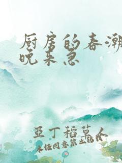 厨房的春潮带雨晚来急