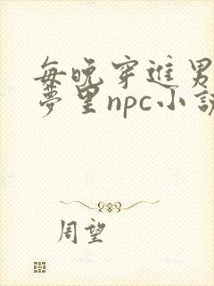 每晚穿进男神的梦里npc小说