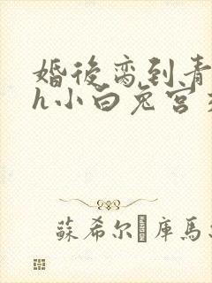 婚后脔到青梅哭h小白兔宫交h