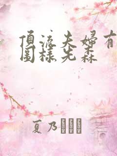 顶流夫妇有点甜图样先森