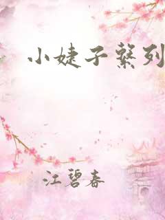 小婕子系列小说