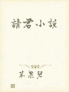 请君小说