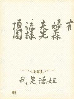 顶流夫妇有点甜图样先森