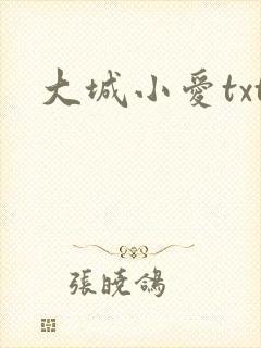 大城小爱txt
