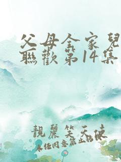 父母全家儿女大联欢第14集