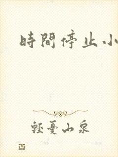 时间停止小说