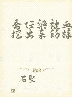 乔任梁被血肠子挖出来的样子