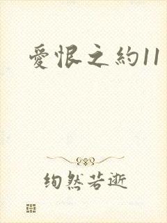 爱恨之约11