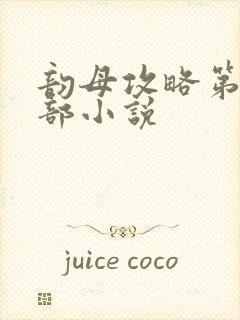 韵母攻略第12部小说