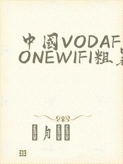 中国VODAFONEWIFI粗暴APP