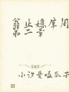 翁止媳庠周梦莹第二章