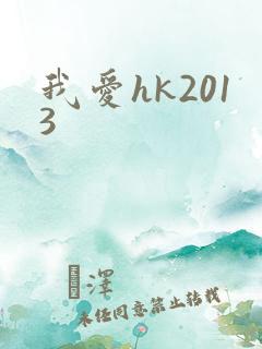 我爱hk2013