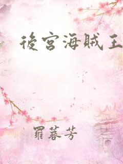 后宫海贼王