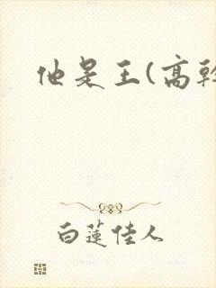 他是王(高干)