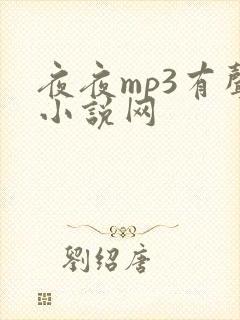 夜夜mp3有声小说网
