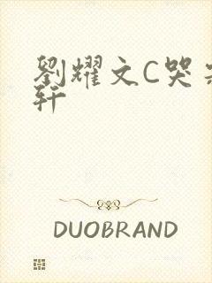 刘耀文C哭宋亚轩