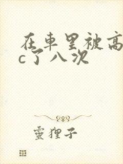 在车里被高潮被c了八次