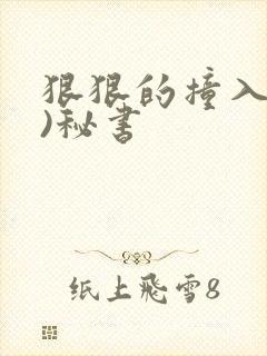 狠狠的撞入(h)秘书