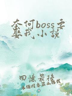 奈何boss要娶我小说
