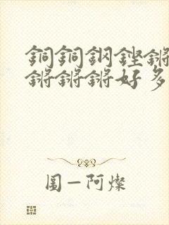 铜铜钢铿锵锵锵锵锵锵好多少阅读