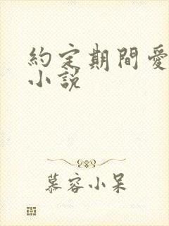 约定期间爱上你小说