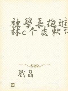 被学长抱进小树林c个爽软件