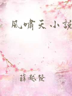 风啸天小说