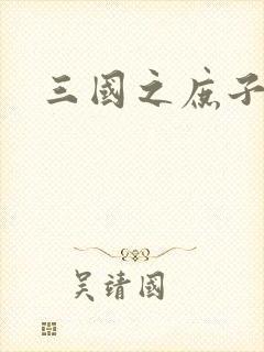 三国之庶子称雄