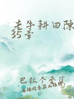 老牛耕田陈雪435章