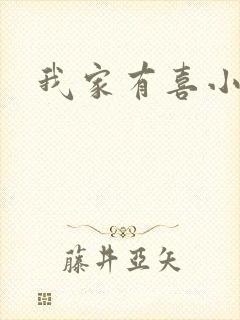 我家有喜小说