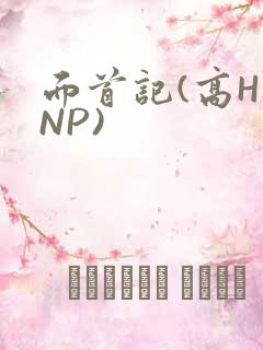 面首记(高H NP)