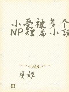 小受被多个攻强NP短篇小说