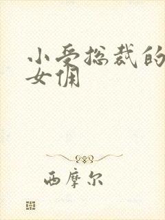 小受总裁的野蛮女佣