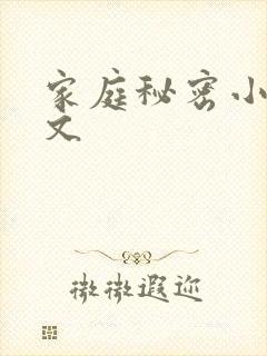 家庭秘密小说全文