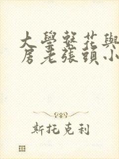 大学系花与锅炉房老张头小说