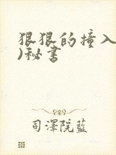 狠狠的撞入(h)秘书