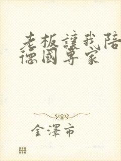 老板让我陪两个德国专家