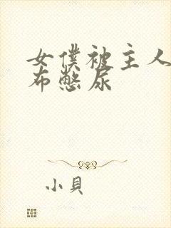 女仆被主人用胶布憋尿