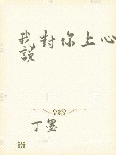 我对你上心了小说