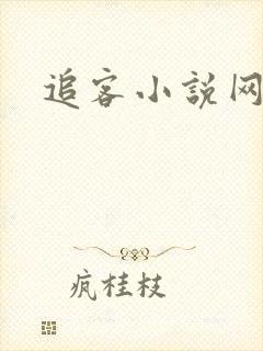追客小说网
