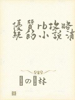 优质rb攻略系统的小说消防员