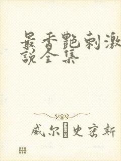 最香艳刺激的小说全集