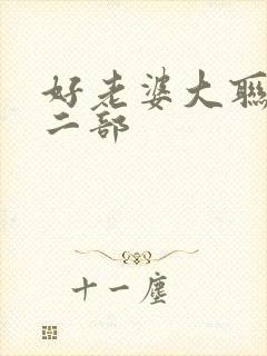 好老婆大联盟第二部