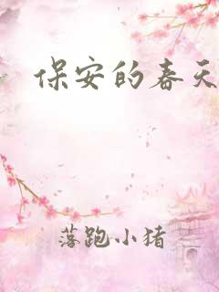 保安的春天