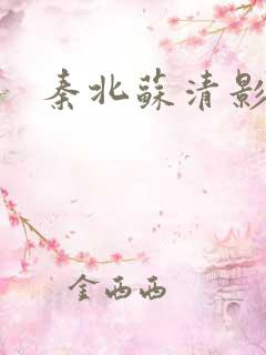 秦北苏清影小说