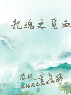 龙魂之觅血心缘