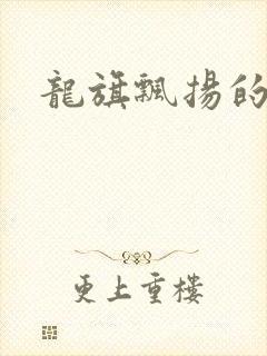 龙旗飘扬的舰队