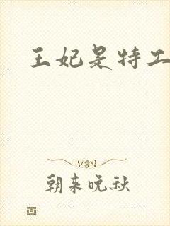 王妃是特工