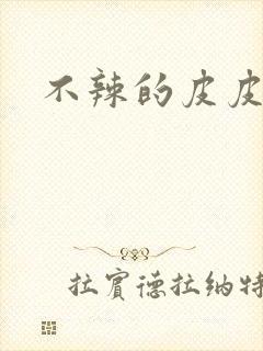 不辣的皮皮小说