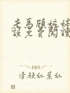 老马顾婉婷的小说免费阅读